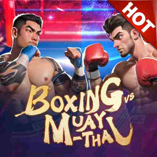 Alibaba66 - Boxing Muay Thai - alibaba668