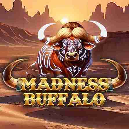 Alibaba66 - Madness Buffalo - alibaba668