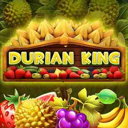 Alibaba66 - Durian King - alibaba668