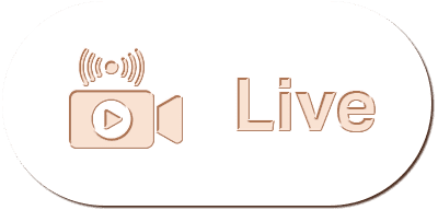 Alibaba66 - Live Button - alibaba668