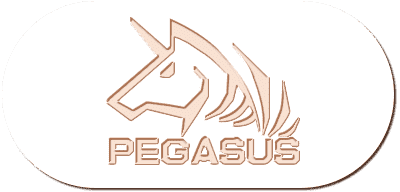 Alibaba66 - Pegasus Gaming Button - alibaba668