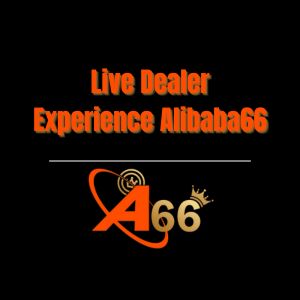 Live Dealer Experience Alibaba66 - Logo - Alibaba66